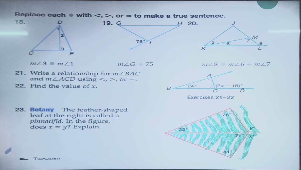 Replace each ● with , or = to make a true sentence.
18. H 20.
m∠ 3 m∠ 1
m∠ G=75
m∠ 8 m∠ 6+m∠ 7
21. Write a relationship for m∠ BAC
and m∠ ACD usin g,or=.
22. Find the value of x. 
Exercises 21-22
23. Botany The feather-shaped
leaf at the right is called a
pinnatifid. In the figure,
does x=y ? Explain.