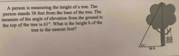 A person is measuring the height of a tree. The
person stands 38 feet from the base of the tree. The
measure of the angle of elevation from the ground to
the top of the tree is 61°. What is the height h of the
tree to the nearest foot?