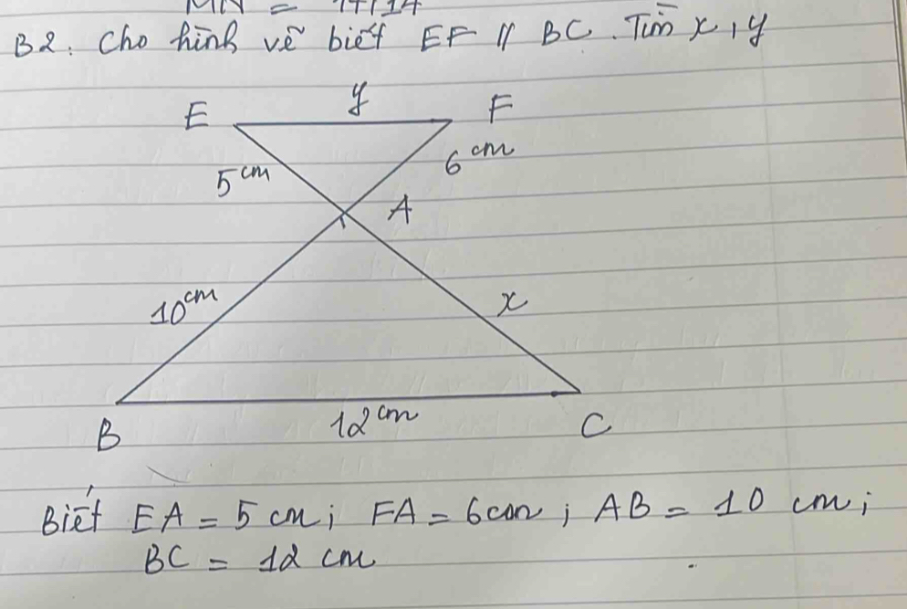 B2: Cho hink ve bif EF I BC. Tm x,y
Bief EA=5cm,FA=6can,AB=10cm,
BC=12cm