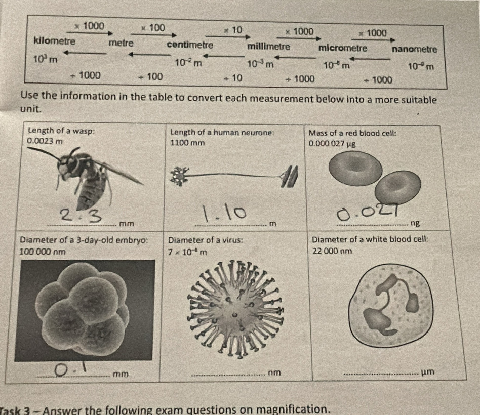 _ * 1000 _ * 100
* 10 * 1000 * 1000
kilometre metre centimetre millimetre micrometre nanometre
10^3m
10^(-2)m 10^(-3)m 10^(-8)m 10^(-9)m
+ 1000 4 100 +10 / 1000 / 1000
Use the information in the table to convert each measurement below into a more suitable
unit.
Diameter of a 3-day-old embryo: Diameter of a white blood cell:
100 000 nm 22 000 nm
_
mm
_μm
Task 3 - Answer the following exam questions on magnification.