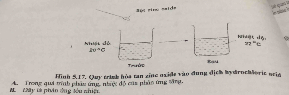 Bột zinc oxide
trò quan tr
in năng h
Nhiệt độ: N
1 Nhiệt độ:
22°C
20°C
Sau
Trước
Hình 5.17. Quy trình hòa tan zinc oxide vào dung dịch hydrochloric acid
A. Trong quá trình phản ứng, nhiệt độ của phản ứng tăng.
B. Đây là phản ứng tỏa nhiệt.