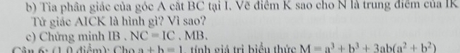 Tia phân giác của góc A cắt BC tại I. Vẽ điểm K sao cho N là trung điểm của IK 
Tứ giác AICK là hình gì? Vì sao? 
c) Chứng minh IB . NC=IC. MB. 
Câu 6: (1 0 điểm): Cho a+b=1 tí nh giá trị biểu thức M=a^3+b^3+3ab(a^2+b^2)
