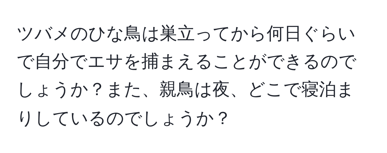 ツバメのひな鳥は巣立ってから何日ぐらいで自分でエサを捕まえることができるのでしょうか？また、親鳥は夜、どこで寝泊まりしているのでしょうか？