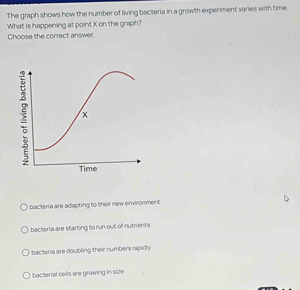 The graph shows how the number of living bacteria in a growth experiment varies with time.
What is happening at point X on the graph?
Choose the correct answer.
bacteria are adapting to their new environment
bacteria are starting to run out of nutrients
bacteria are doubling their numbers rapidly
bacterial cells are growing in size