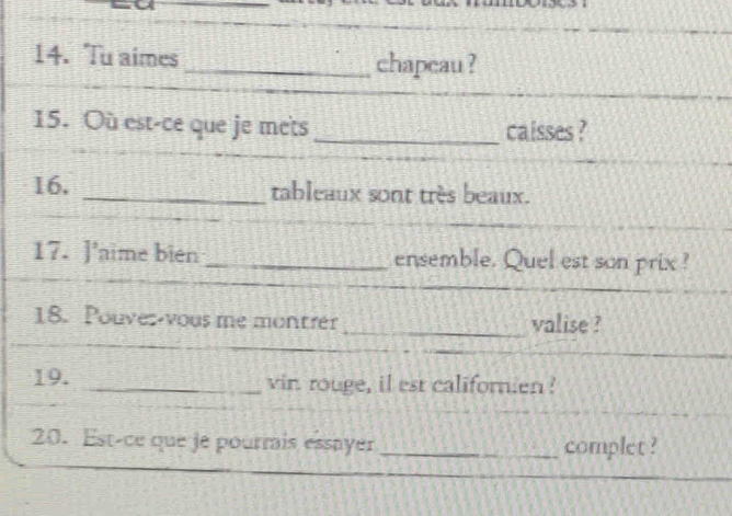 Tu aimes _chapeau ? 
15. Où est-ce que je mets _caisses ? 
16, _tableaux sont très beaux. 
17. J'aime bien _ensemble. Quel est son prix ? 
18. Pouver-vous me montrer _valise ? 
_ 
19. _vin rouge, il est californien! 
20. Est-ce que je pourmis essayer _complet ?