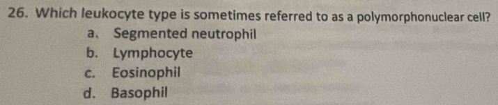 Which leukocyte type is sometimes referred to as a polymorphonuclear cell?
a、 Segmented neutrophil
b. Lymphocyte
c. Eosinophil
d. Basophil