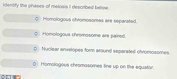 Identify the phases of meiosis I described below.
Homologous chromosomes are separated.
Homologous chromosome are paired.
Nuclear envelopes form around separated chromosomes.
Homologous chromosomes line up on the equator.
DONE