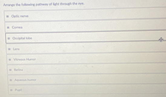 Arrange the following pathway of light through the eye.
Optic nerve
Cornea
Occipital lobe
Lens
Vitreous Humor
Retina
Aqueous humor
Pupil