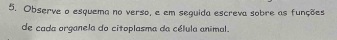 Observe o esquema no verso, e em seguida escreva sobre as funções 
de cada organela do citoplasma da célula animal.