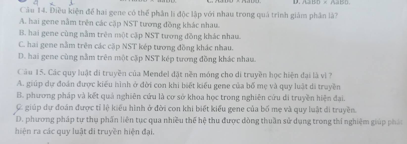 AaBb* AaBb. 
Câu 14. Điều kiện để hai gene có thể phân li độc lập với nhau trong quá trình giảm phân là?
A. hai gene nằm trên các cặp NST tương đồng khác nhau.
B. hai gene cùng nằm trên một cặp NST tương đồng khác nhau.
C. hai gene nằm trên các cặp NST kép tương đồng khác nhau.
D. hai gene cùng nằm trên một cặp NST kép tương đồng khác nhau.
Câu 15. Các quy luật di truyền của Mendel đặt nền móng cho di truyền học hiện đại là vì ?
A. giúp dự đoán được kiểu hình ở đời con khi biết kiểu gene của bố mẹ và quy luật di truyền
B. phương pháp và kết quả nghiên cứu là cơ sở khoa học trong nghiên cứu di truyền hiện đại.
C. giúp dự đoán được tỉ lệ kiểu hình ở đời con khi biết kiểu gene của bố mẹ và quy luật di truyền.
D. phương pháp tự thụ phấn liên tục qua nhiều thế hệ thu được dòng thuần sử dụng trong thí nghiệm giúp phát
hiện ra các quy luật di truyền hiện đại.