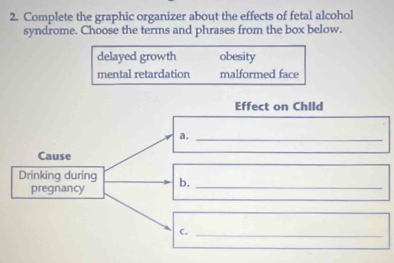 Complete the graphic organizer about the effects of fetal alcohol
syndrome. Choose the terms and phrases from the box below.
delayed growth obesity
mental retardation malformed face
Effect on Child
a._
Cause
Drinking during
b._
pregnancy
C._