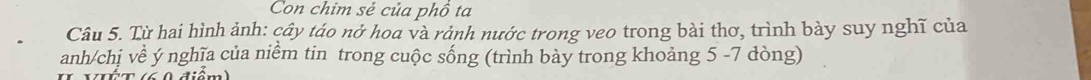 Con chim sẻ của phồ ta 
Câu 5. Từ hai hình ảnh: cây táo nở hoa và rảnh nước trong veo trong bài thơ, trình bày suy nghĩ của 
anh/chị về ý nghĩa của niểm tin trong cuộc sống (trình bày trong khoảng 5 -7 dòng) 
(iểm)