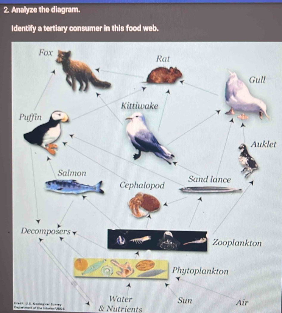 Analyze the diagram. 
Identify a tertiary consumer in this food web. 
let 
Water Sun 
Credit: U.S. Geological Surrey Air 
Department of the Interior/USGS & Nutrients