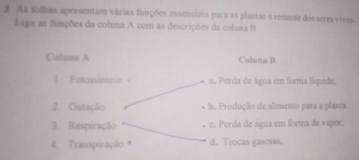 As folhas apresentam várias funções essenciais para as plantas e restante dos seres vivos.
Liga as funções da coluna A com as descrições da coluna B
Colune A Coluna B
1. Fotossintese 。 a. Perda de água em forma liquida;
2. Gutação b. Produção de alimento para a planta
3. Respiração e. Perda de água em forma de vapor;
4. Transpiração * d. Trocas gasosas,