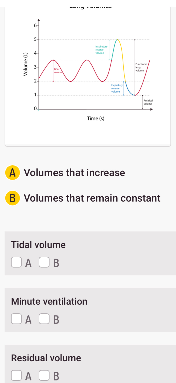 A Volumes that increase
B Volumes that remain constant
Tidal volume
A □ B
Minute ventilation
A □ B
Residual volume
□ A □ B