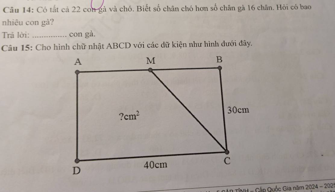 Có tất cả 22 con gà và chó. Biết số chân chó hơn số chân gà 16 chân. Hỏi có bao
nhiêu con gà?
Trả lời: _con gà.
Câu 15: Cho hình chữ nhật ABCD với các dữ kiện như hình dưới đây.
TỉNH - Cấp Quốc Gia năm 2024-202