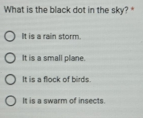 What is the black dot in the sky? *
It is a rain storm.
It is a small plane.
It is a flock of birds.
It is a swarm of insects.