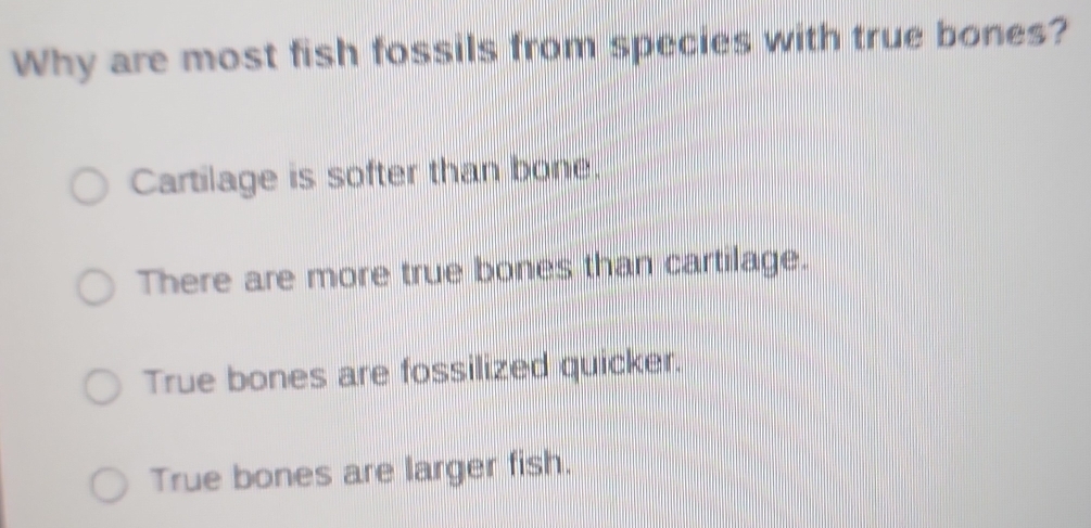 Solved: Why are most fish fossils from species with true bones ...