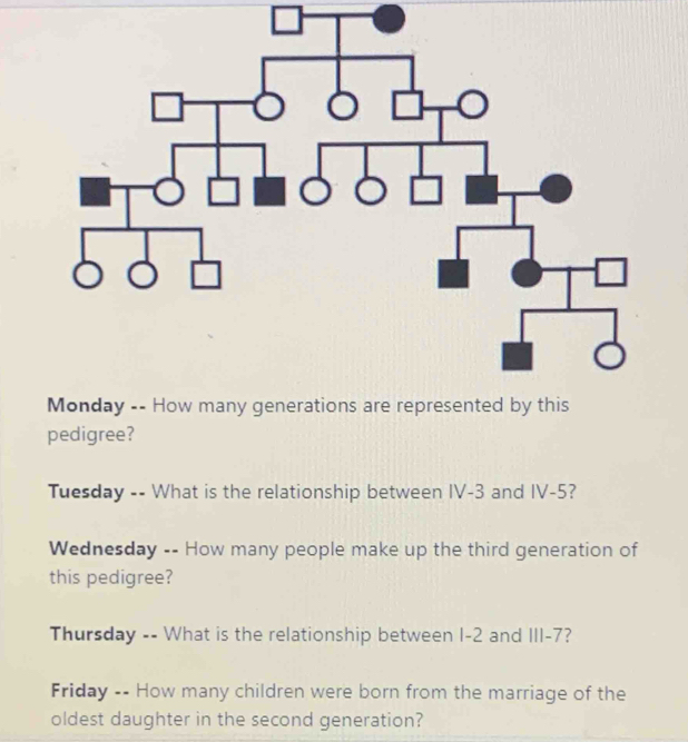 pedigree? 
Tuesday -- What is the relationship between IV -3 and IV -5? 
Wednesday -- How many people make up the third generation of 
this pedigree? 
Thursday -- What is the relationship between I -2 and III -7? 
Friday -- How many children were born from the marriage of the 
oldest daughter in the second generation?