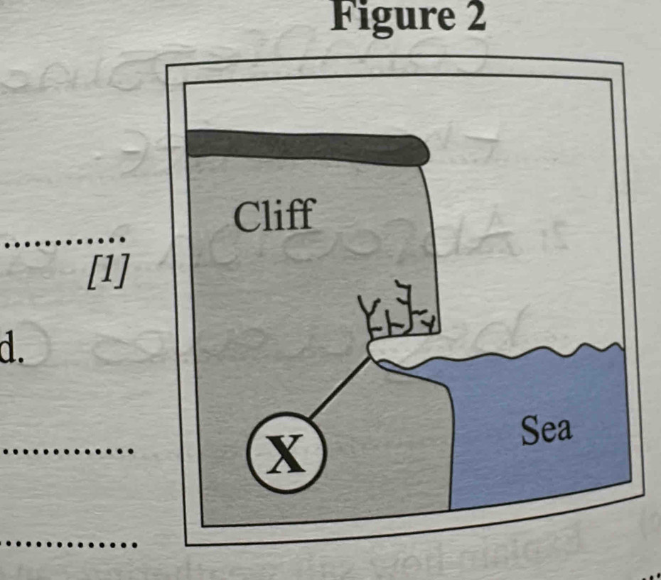 Figure 2 
[1]
d