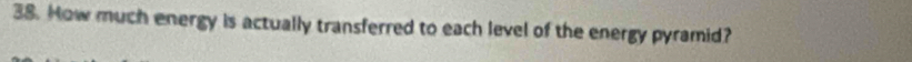 How much energy is actually transferred to each level of the energy pyramid?