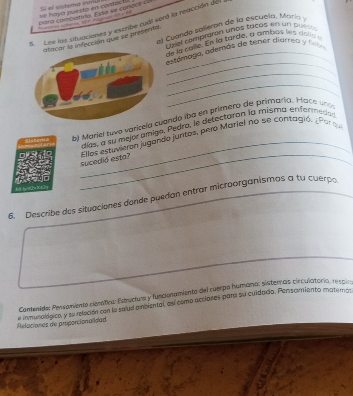 Si el sistema inmul 
se hayá puesto en contactó, 
para combatirio. Esto se conoce col 
* trn tobm SEP Pogial 6S y 66 
5__ Lee las situaciones y escribe cuál será la reacción del 
a) Cuando salieron de la escuela, María y 
Uziel compraron unos tacos en un puesto 
a infección que se presenta. 
de la calle. En la tarde, a ambos les dolía e 
_ 
estómago, además de tener diarrea y fiebre 
_ 
_ 
Sistema b) Mariel tuvo varicelando iba en primero de primaria. Hace uno 
imunitan días, a su mejor amigo, Pedro, le detectaron la misma enfermedad 
_ 
_sucedió esto? Ellos estuvieron jugando juntos, pero Mariel no se contagió. ¿Por que 
bitly 42xX42q 
6. Describe dos situaciones donde puedan entrar microorganismos a tu cuerpo 
Contenido: Pensamiento científico: Estructuro y funcionamiento del cuerpo humano: sistemas circulatorio, respiro 
e inmunológico, y su relación con la salud ambiental, así como acciones para su cuidado. Pensamiento matemát 
Relaciones de proporcionalidad.