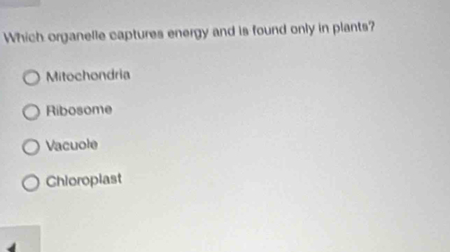 Which organelle captures energy and is found only in plants?
Mitochondria
Ribosome
Vacuole
Chioropiast