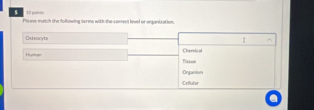 5 10 points
Please match the following terms with the correct level or organization.
Osteocyte
I
Chemical
Human
Tissue
Organism
Cellular