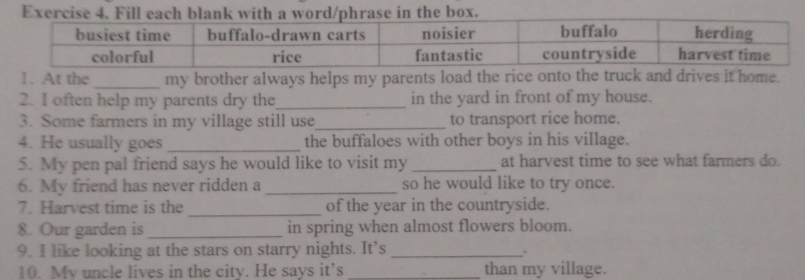 Exe 
1. At the_ my brother always helps my parents load the rice onto the truck and drives it home. 
2. I often help my parents dry the_ in the yard in front of my house. 
3. Some farmers in my village still use_ to transport rice home. 
4. He usually goes _the buffaloes with other boys in his village. 
5. My pen pal friend says he would like to visit my _at harvest time to see what farmers do. 
6. My friend has never ridden a _so he would like to try once. 
7. Harvest time is the _of the year in the countryside. 
8. Our garden is _in spring when almost flowers bloom. 
9. I like looking at the stars on starry nights. It’s_ 
10. My uncle lives in the city. He says it’s _than my village.