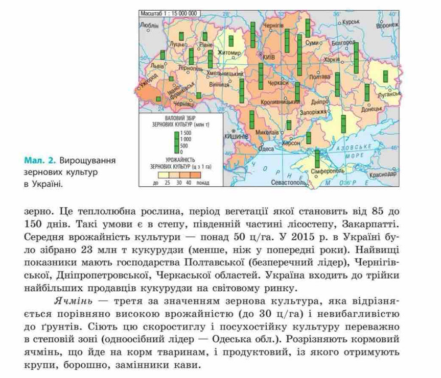 Мал. 2. Вирошування
зернових культур
в Уκраїнί.
зерно. Це теπлолюобна рослина, період вегетації якої становиτь від 85 до
150 днів. Такі умови ε в стеπу, південній частині лісостепу, Закарπатті.
Середня врожайність культури ← понад 50 ц/га. У 2015 р. в Україні бу-
ло зібрано 23 млн ткукурудзи ηменше, ніж у попередні роки). Найвиші
показники мають господарства Πолтавської (безперечний лідер), Чернігів-
ської, Дніпроπетровської, черкаської областей. Україна вхοдиτь дο τрійки
найбільших продавців кукурудзи на світовому ринку.
Ячмίнь ← третя за значенням зернова культура, яка відрізня-
еться порівняно високою врожайністю (до 3Ο ц/га) ⅰ невибагливістю
до грунтів. Сіють цю скоростиглу і посухостійку культуру переважно
в степовій зоні (одноосібний лідер ← Одеська обл.). Розрізняють кормовий
ячмінь, шо йде на корм τваринам, ⅰ πродуктовий, ⅰз якого отримуюτь
κруии, борошно, замінники κави.