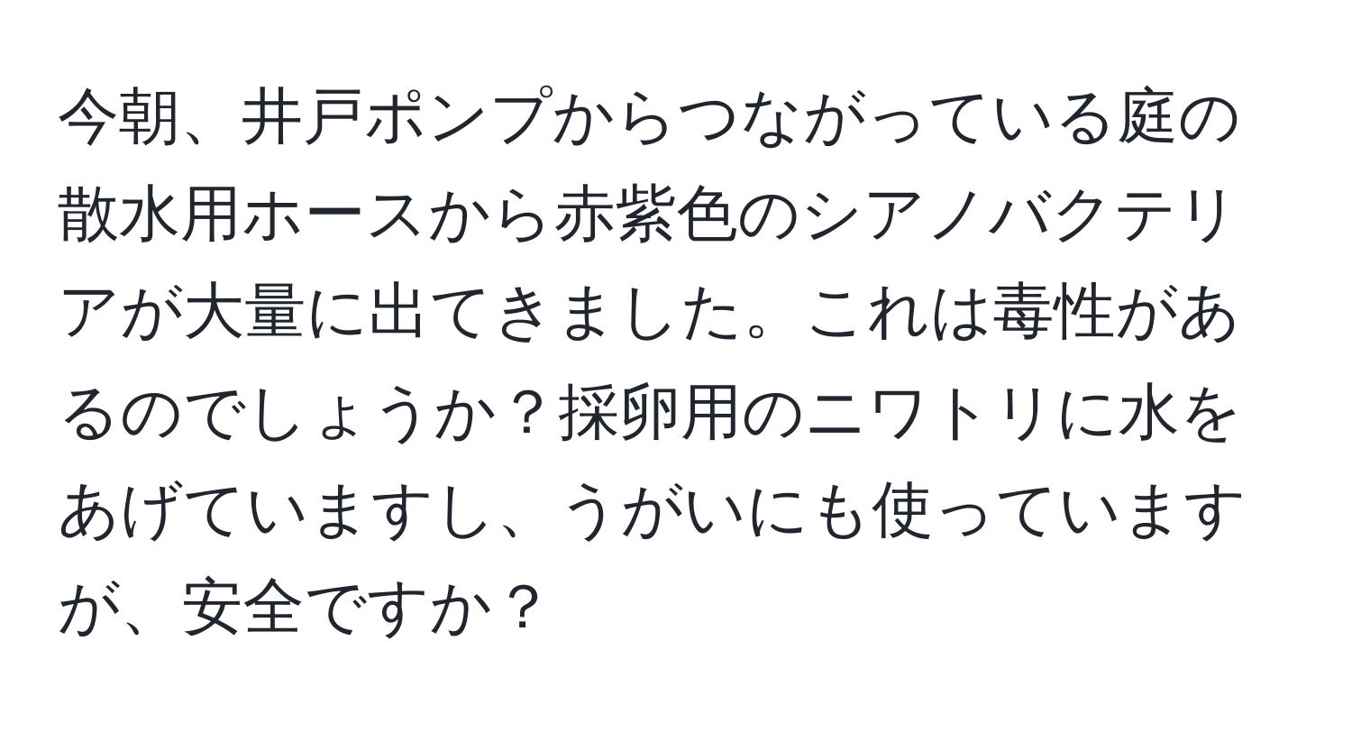 今朝、井戸ポンプからつながっている庭の散水用ホースから赤紫色のシアノバクテリアが大量に出てきました。これは毒性があるのでしょうか？採卵用のニワトリに水をあげていますし、うがいにも使っていますが、安全ですか？