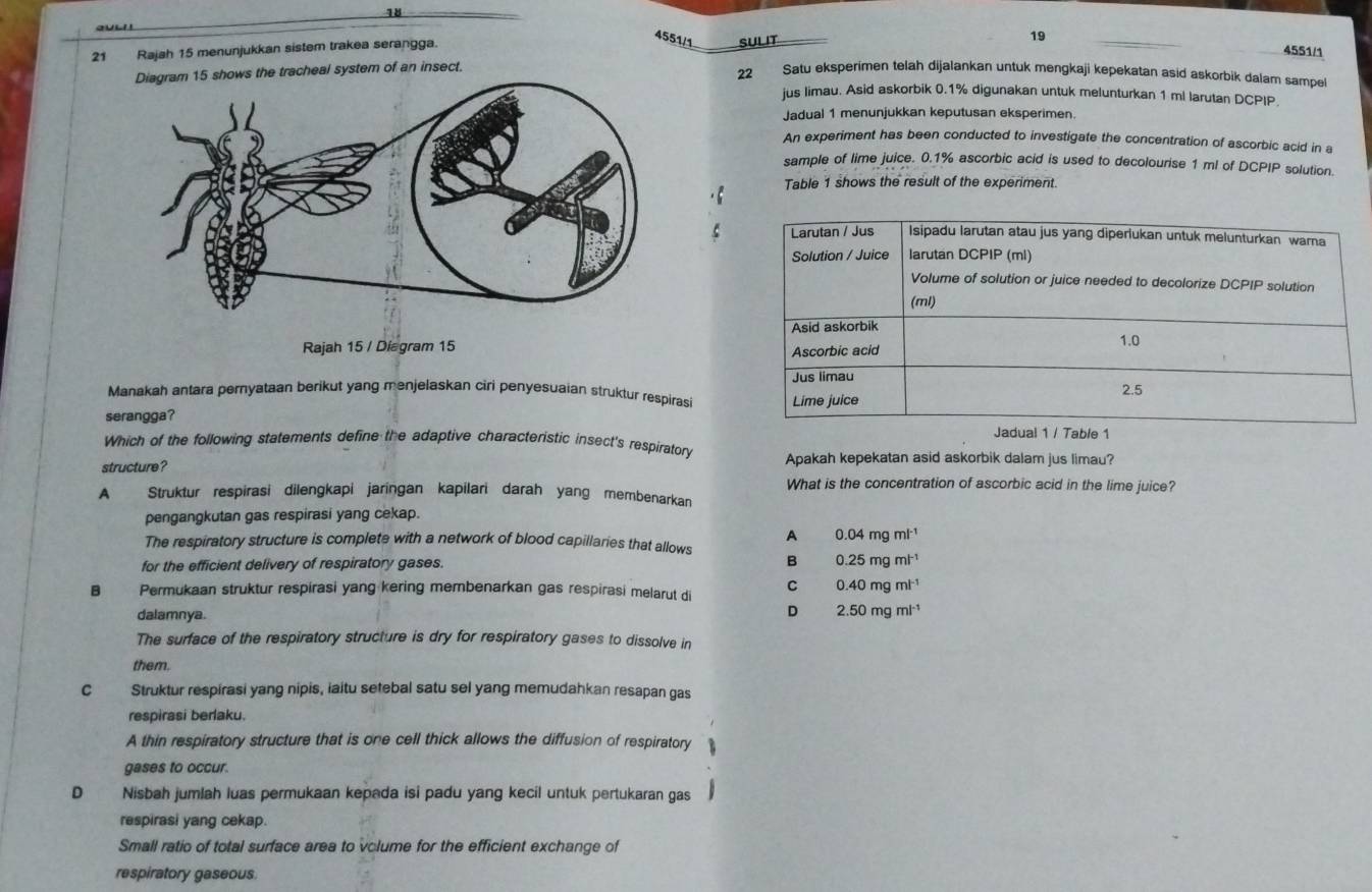 18
4551/1. SULIT
21 Rajah 15 menunjukkan sistem trakea serangga.
19 4551/1
Diagram 15 shows the tracheal system of an insect.
22 Satu eksperimen telah dijalankan untuk mengkaji kepekatan asid askorbik dalam sampel
jus limau. Asid askorbik 0.1% digunakan untuk melunturkan 1 ml larutan DCPIP
Jadual 1 menunjukkan keputusan eksperimen.
An experiment has been conducted to investigate the concentration of ascorbic acid in a
sample of lime juice. 0.1% ascorbic acid is used to decolourise 1 ml of DCPIP solution.
Table 1 shows the result of the experiment.
Rajah 15 / Diegram 15 
Manakah antara pernyataan berikut yang menjelaskan ciri penyesuaian struktur respirasi
serangga?
Which of the following statements define the adaptive characteristic insect's respiratory
structure? Apakah kepekatan asid askorbik dalam jus limau?
What is the concentration of ascorbic acid in the lime juice?
A Struktur respirasi dilengkapi jaringan kapilari darah yang membenarkan
pengangkutan gas respirasi yang cekap.
A 0.04mgml^(-1)
The respiratory structure is complete with a network of blood capillaries that allows
for the efficient delivery of respiratory gases. B 0.25mgm^(-1)
B Permukaan struktur respirasi yang kering membenarkan gas respirasi melarut di C 0.40mgml^(-1)
dalamnya.
D 2.50mgml^(-1)
The surface of the respiratory structure is dry for respiratory gases to dissolve in
them.
C Struktur respirasi yang nipis, iaitu setebal satu sel yang memudahkan resapan gas
respirasi berlaku.
A thin respiratory structure that is one cell thick allows the diffusion of respiratory
gases to occur.
D Nisbah jumlah luas permukaan kepada isi padu yang kecil untuk pertukaran gas
respirasi yang cekap.
Small ratio of total surface area to volume for the efficient exchange of
respiratory gaseous.