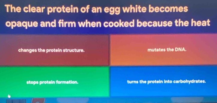 The clear protein of an egg white becomes
opaque and firm when cooked because the heat
changes the protein structure. mutates the DNA.
stops protein formation. turns the protein into carbohydrates.