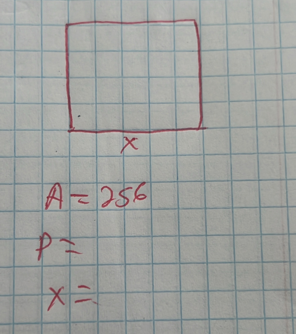 A=256
P=
x=