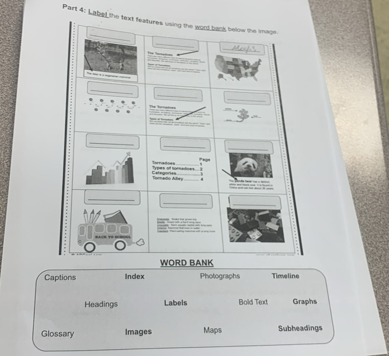 Label the text features using the word bank below the image. 
_ 
_ 
The Tornadoes 
_ 
The den e a vogetarian iamn 
_ 
_ 
_ 
The Tomadoes 
_ 

Noe o frato 
_ 
_ 
_ 
Page 
Types of tornadoes Tornadoes 1 
3 
Categories Tornado Alley_ 4 
Chine and cn le abod 20 yean whie and back ose. it is fund in == pnda bear == = 1= 
_ 
_ 
_ 

RACK TO SCHOOL 
WORD BANK 
Captions Index Photographs Timeline 
Headings Labels Bold Text Graphs 
Glossary Images Maps Subheadings