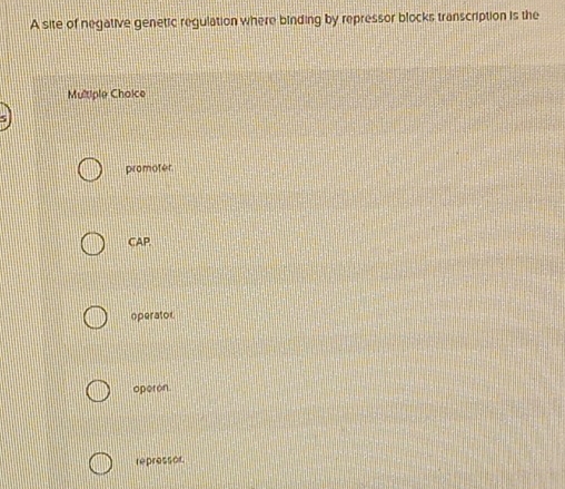 A site of negative genetic regulation where binding by repressor blocks transcription is the
Multiple Choice
promoter
CAP.
operator
operon
repressor