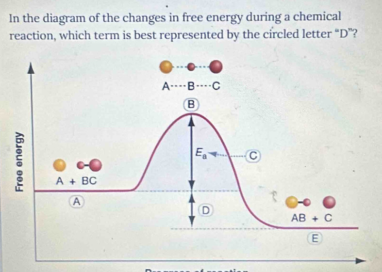 Solved: In the diagram of the changes in free energy during a chemical ...