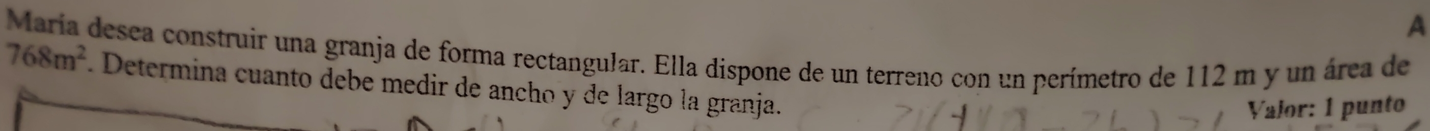 A 
María desea construir una granja de forma rectangular. Ella dispone de un terreno con un perímetro de 112 m y un área de
768m^2 Determina cuanto debe medir de ancho y de largo la granja. 
Valor: 1 punto