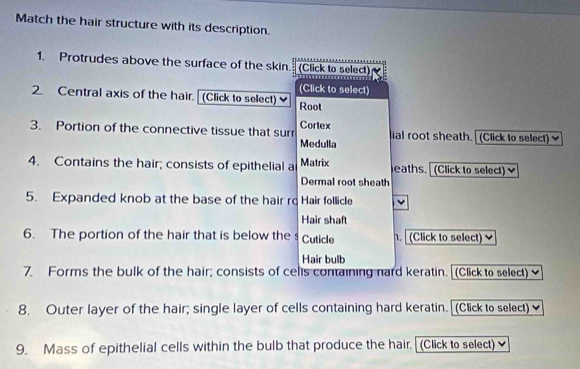 Match the hair structure with its description. 
1. Protrudes above the surface of the skin. (Click to select) 
(Click to select) 
2. Central axis of the hair. (Click to select) Root 
3. Portion of the connective tissue that surr Cortex ial root sheath. (Click to select) 
Medulla 
4. Contains the hair; consists of epithelial a Matrix eaths. (Click to select) 
Dermal root sheath 
5. Expanded knob at the base of the hair ro Hair follicle v 
Hair shaft 
6. The portion of the hair that is below the s Cuticle . (Click to select) 
Hair bulb 
7. Forms the bulk of the hair; consists of cells containing nard keratin. (Click to select) 
8. Outer layer of the hair; single layer of cells containing hard keratin. (Click to select) 
9. Mass of epithelial cells within the bulb that produce the hair. (Click to select)