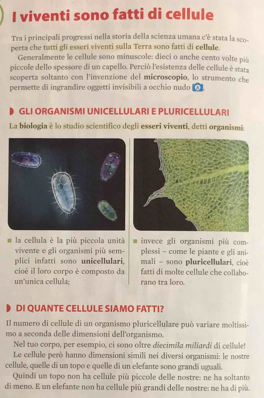 viventi sono fatti di cellule 
Tra i principali progressi nella storia della scienza umana cè stata la sco- 
perta che tutti gli esseri viventi sulla Terra sono fatti di cellule. 
Generalmente le cellule sono minuscole: dieci o anche cento volte più 
piccole dello spessore di un capello. Perciò l’esistenza delle cellule è stata 
scoperta soltanto con l’invenzione del microscopio, lo strumento che 
permette di ingrandire oggetti invisibili a occhio nudo [A]. 
GLI ORGANISMI UNICELLULARI E PLURICELLULARI 
La biologia è lo studio scientifico degli esseri viventi, detti organismi: 
la cellula è la più piccola unità invece gli organismi più com- 
vivente e gli organismi più sem- plessi - come le piante e gli ani- 
plici infatti sono unicellulari, mali - sono pluricellulari, cioè 
cioè il loro corpo è composto da fatti di molte cellule che collabo- 
un’unica cellula; rano tra loro. 
DI QUANTE CELLULE SIAMO FATTI? 
Il numero di cellule di un organismo pluricellulare può variare moltissi- 
mo a seconda delle dimensioni dell’organismo. 
Nel tuo corpo, per esempio, ci sono oltre diecimila miliardi di cellule! 
Le cellule però hanno dimensioni simili nei diversi organismi: le nostre 
cellule, quelle di un topo e quelle di un elefante sono grandi uguali. 
Quindi un topo non ha cellule più piccole delle nostre: ne ha soltanto 
di meno. E un elefante non ha cellule più grandi delle nostre: ne ha di più.