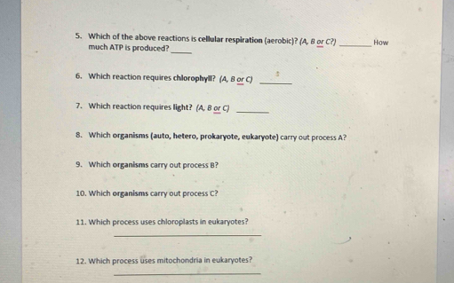 Which of the above reactions is cellular respiration (aerobic)? (A, θ or C?) _Hiow 
much ATP is produced?_ 
6. Which reaction requires chlorophyll? (A, B or C)_ 
7. Which reaction requires light? (A, B or C)_ 
8. Which organisms (auto, hetero, prokaryote, eukaryote) carry out process A? 
9. Which organisms carry out process B? 
10. Which organisms carry out process C? 
11. Which process uses chloroplasts in eukaryotes? 
_ 
12. Which process uses mitochondria in eukaryotes? 
_