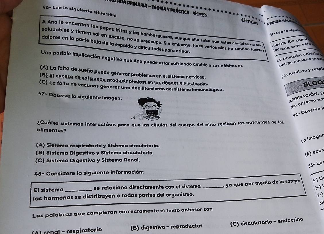 AI2ADA PRIMARIA - TEORíA Y PRÁctica amorpho
46º Lea la siguiente situación:
Ciencias PRUEBA NA
A Ana le encantan las papas fritas y las hamburguesas, aunque ella sabe que estas comidas no son Alberto iba camin
51º Lea la sigai
saludables y tienen sal en exceso, no se preocupa. Sin embargo, hace varios días ha sentido fuertes ladrarle, ante este
dolores en la parte baja de la espalda y dificultades para orinar.
La situación anterior
Una posible implicación negativa que Ana puede estar sufriendo debido a sus hábitos es
cuerpo humano grad
(A) La falta de sueño puede generar problemas en el sistema nervioso.
(A) nervioso y respir
(B) El exceso de sal puede producir piedras en las riñones e hinchazón.
BLOQ
(C) La falta de vacunas generar una debilitamiento del sistema inmunológico.
47- Observe la siguiente imagen:
AfirmAcIóN: D
del entorno na
52- Observe l
¿Cuáles sistemas interactúan para que las células del cuerpo del niño reciban los nutrientes de los
alimentos?
La imager
(A Sistema respiratorio y Sistema circulatorio.
(B) Sistema Digestivo y Sistema circulatorio.
(A) ecos
(C) Sistema Digestivo y Sistema Renal.
53- Le
48- Considere la siguiente información:
El sistema _se relaciona directamente con el sistema _ ya que por medio de la sangre 1-) ∪
-) 
las hormonas se distribuyen a todas partes del organismo. 3-)
Las palabras que completan correctamente el texto anterior son ali
(A)renal - respiratorio (B) digestivo - reproductor (C) circulatorio - endocrino