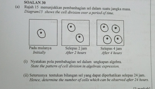 SOALAN 30 
(a) Rajah 15 menunjukkan pembanhagian sel dalam suatu jangka masa. 
Diagram15 shows the cell division over a period of time. 
Pada mulanya Selepas 2 jam Selepas 4 jam
Initially After 2 hours After 4 hours
(i) Nyatakan pola pembahagian sel dalam ungkapan algebra. 
State the pattern of cell division in algebraic expression. 
(ii) Seterusnya tentukan bilangan sel yang dapat diperhatikan selepas 24 jam. 
Hence, determine the number of cells which can be observed after 24 hours. 
[ 1 morkah ]