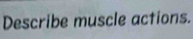 Describe muscle actions.