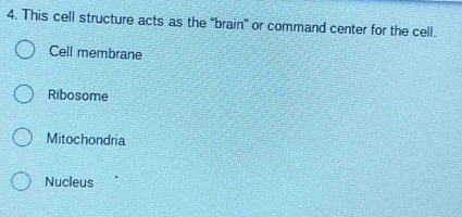 This cell structure acts as the 'brain" or command center for the cell.
Cell membrane
Ribosome
Mitochondria
Nucleus