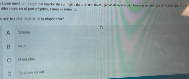 adiante tomó un hisopo del interior de su mejilla durante una investigación de laboratorio. Mientras miraba bajo el microscopo e 
diferentes en el portaobjetos, como se muestra.
s son los dos objetos de la diapositiva?
A Células
B Virus
C Moléculas
D Cristales de sal