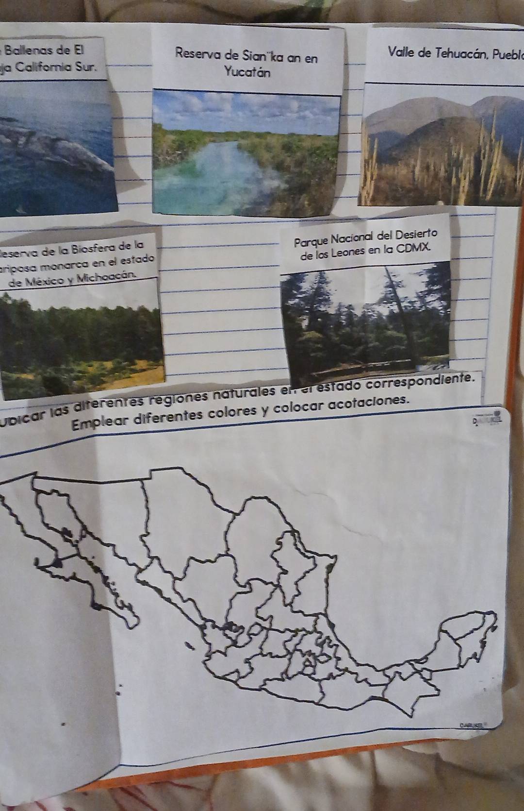 Ballenas de El Reserva de Sian''ka an en 
Valle de Tehuacán, Pueblo 
ja California Sur. Yucatán 
lesería de la Biosfera de la 
priposa monarca en el estado Parque Nacional del Desierto 
de los Leones en la CDMX. 
de México y Michoacán. 
Ubicar las diferentes regiones naturales en el estado correspondiente. 
Emplear diferentes colores y colocar acotaciones.