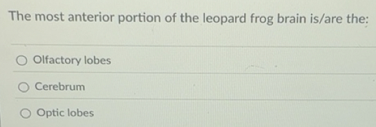 Solved: The most anterior portion of the leopard frog brain is/are the ...