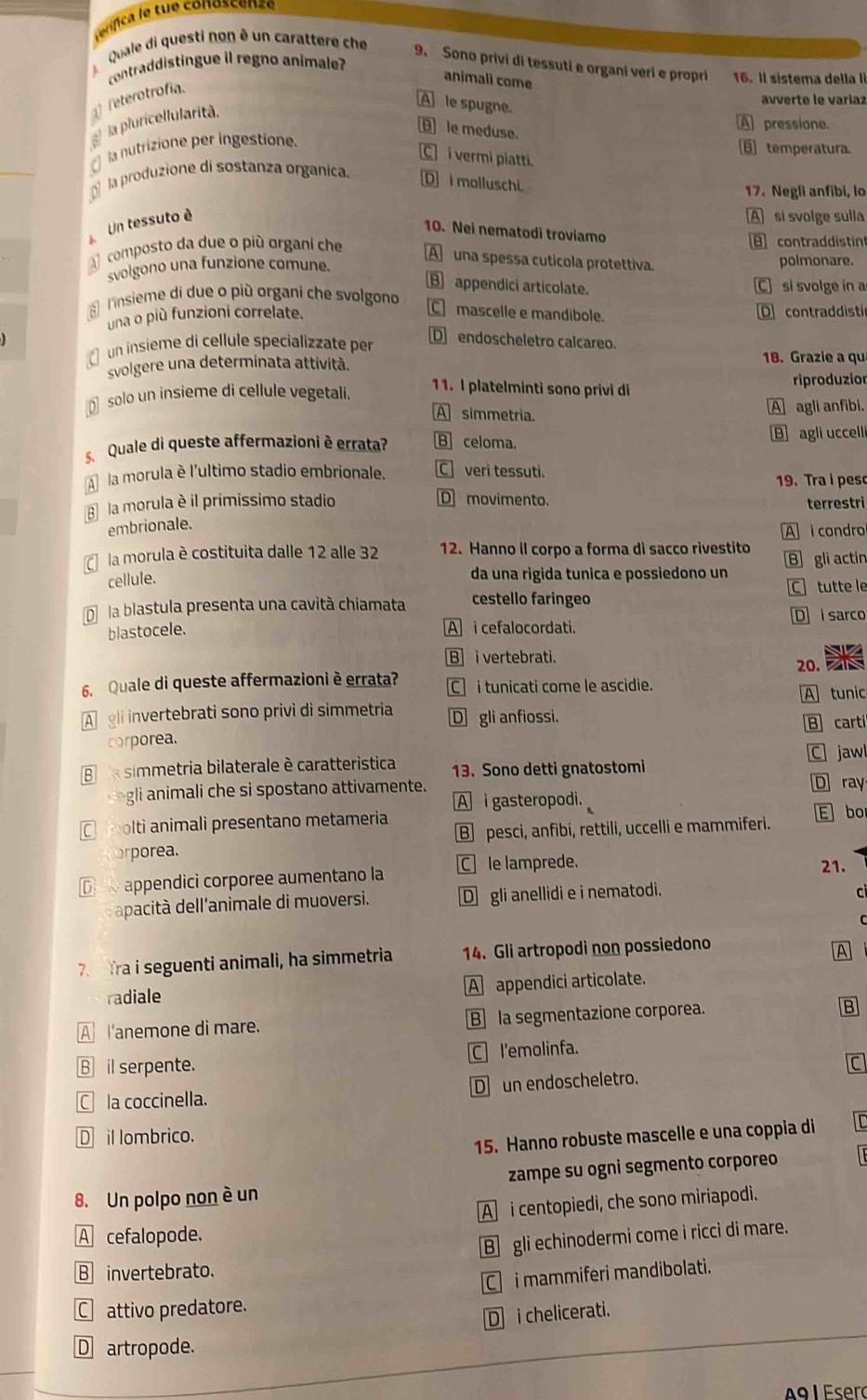 erífica le tue conoscenze
Quale di questi non ê un carattere che
9. Sono privi di tessuti e organi veri e propri 16. Il sistema della i
cotraddistingue il regno animale?
animali come
feterotrofía.
A le spugne.
avverte le varíaz
la pluricellularità.
A pressione.
le meduse.
la nutrizione per ingestione.
temperatura.
C i vermi platti.
la produzione di sostanza organica. D i molluschi.
17. Negli anfibi, lo
Un tessuto è A si svolge sulla
10. Nei nematodi troviamo
contraddistin
A  composto da due o più organí che A una spessa cuticola protettiva.
svolgono una funzione comune. polmonare.
B appendici articolate. C si svolge in a
a l'insieme di due o più organi che svolgono C mascelle e mandibole.
una o più funzioni correlate. D contraddisti
un insieme di cellule specializzate per
D] endoscheletro calcareo.
svolgere una determinata attività. 18. Grazie a qu
solo un insieme di cellule vegetali. 11. I platelminti sono privi di
riproduzion
A simmetria. A agli anfibi.
Quale di queste affermazioni è errata B] celoma.
B agli uccelli
A la morula è l'ultimo stadio embrionale. C veri tessuti.
19. Tra i peso
D movimento.
E la morula è il primissimo stadio terrestri
embrionale.
A  condro
la morula è costituita dalle 12 alle 32 12. Hanno il corpo a forma di sacco rivestito B gli actin
cellule.
da una rigida tunica e possiedono un
C tutte le
la blastula presenta una cavità chiamata cestello faringeo
D i sarco
blastocele. A i cefalocordati.
Bi vertebrati. 20.
6. Quale di queste affermazioni è errata? C] i tunicati come le ascidie.
A tunic
A  eli invertebrati sono privì di simmetria D gli anfiossi.
B carti
corporea.
B la símmetria bilaterale è caratteristica 13. Sono detti gnatostomi C jaw D ray
gli animali che si spostano attivamente.
A i gasteropodi.
Cn olti animali presentano metameria B pesci, anfibi, rettili, uccelli e mammiferi. E bo
rorea.
D e appendici corporee aumentano la C le lamprede.
21.
dapacità dell'animale di muoversi. D gli anellidi e i nematodi.
c
7.  Tra i seguenti animali, ha simmetria 14. Gli artropodi non possiedono
A
radiale A appendici articolate.
A l'anemone di mare. B] la segmentazione corporea. B
B il serpente. C l'emolinfa.
C la coccinella. D un endoscheletro.
Dil lombrico.
15. Hanno robuste mascelle e una coppia di
8. Un polpo non è un zampe su ogni segmento corporeo
A i centopiedi, che sono miriapodi.
A cefalopode.
B gli echinodermi come i ricci di mare.
B invertebrato.
C i mammiferi mandibolati.
C attivo predatore.
D i chelicerati.
Dartropode.
A9 1 Esero