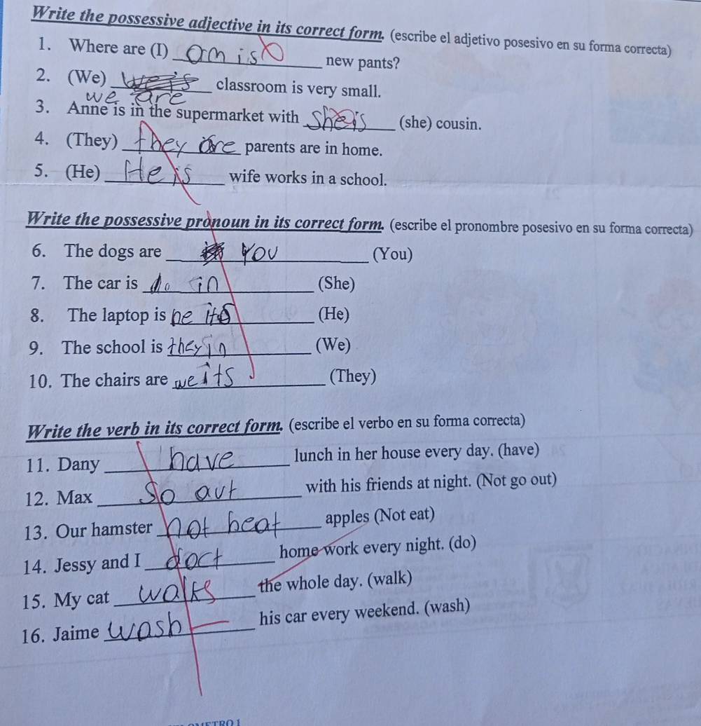 Write the possessive adjective in its correct form. (escribe el adjetivo posesivo en su forma correcta) 
_ 
1. Where are (I) 
new pants? 
2. (We) _classroom is very small. 
3. Anne is in the supermarket with _(she) cousin. 
4. (They) _parents are in home. 
5. (He) _wife works in a school. 
Write the possessive pronoun in its correct form. (escribe el pronombre posesivo en su forma correcta) 
6. The dogs are _(You) 
7. The car is _(She) 
8. The laptop is _(He) 
9. The school is _(We) 
10. The chairs are _(They) 
Write the verb in its correct form. (escribe el verbo en su forma correcta) 
11. Dany _lunch in her house every day. (have) 
12. Max _with his friends at night. (Not go out) 
13. Our hamster _apples (Not eat) 
14. Jessy and I_ home work every night. (do) 
15. My cat _the whole day. (walk) 
16. Jaime _his car every weekend. (wash)